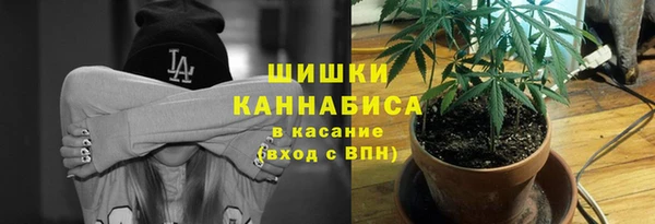 не бодяженный Аркадак