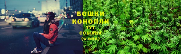 ГАЛЛЮЦИНОГЕННЫЕ ГРИБЫ Арсеньев