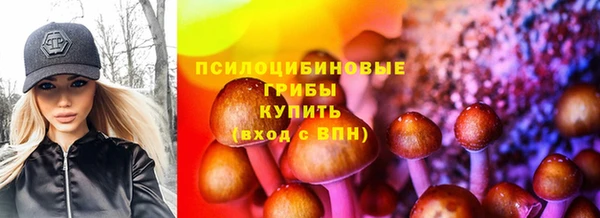 не бодяженный Аркадак